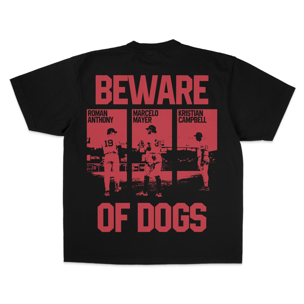 "BOSTON TRIFECTA" TEE