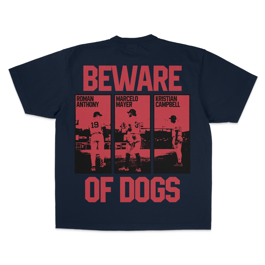 "BOSTON TRIFECTA" TEE