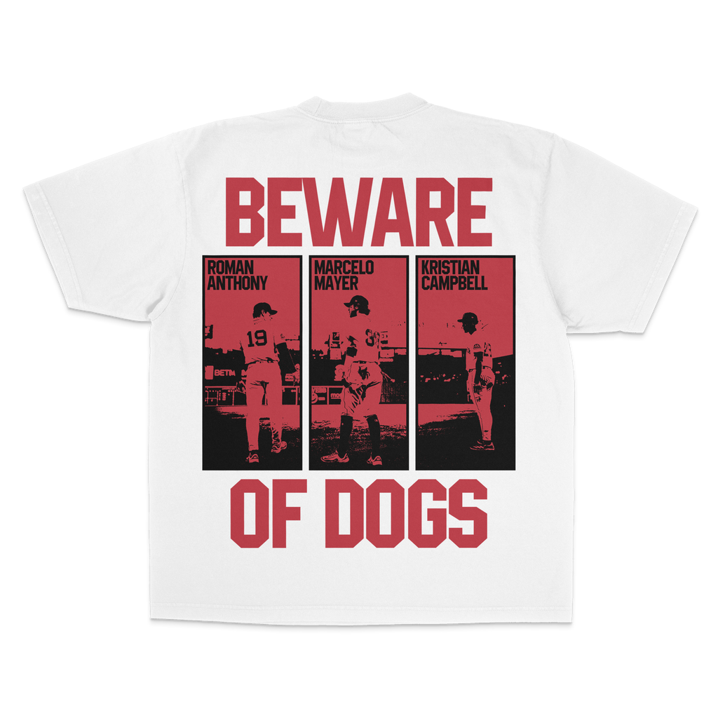 "BOSTON TRIFECTA" TEE