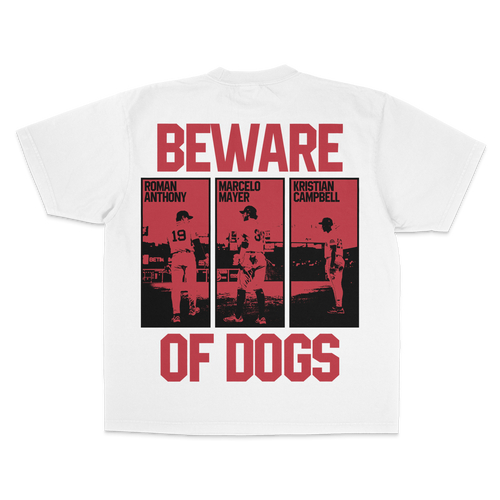 "BOSTON TRIFECTA" TEE